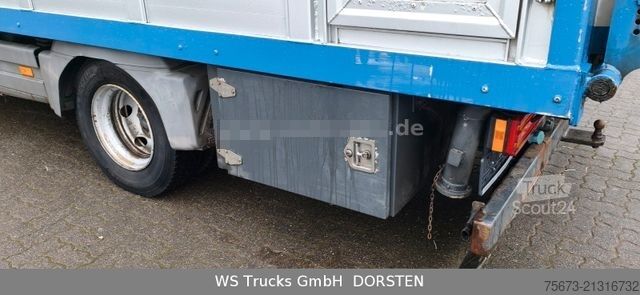 Boskapstransportör MERCEDES-BENZ Atego  1024 4x2 Menke-Janzen