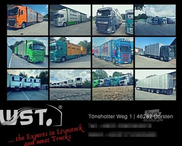 Boskapstransportör MERCEDES-BENZ Atego  1024 4x2 Menke-Janzen