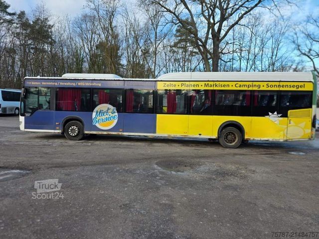 Intercity bus MERCEDES-BENZ Citaro O530 LE, Gurten,  Armlehnen, Gardinen