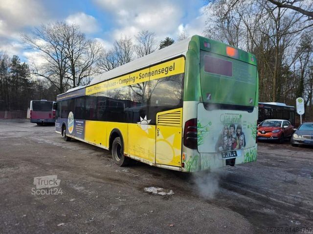 Intercity bus MERCEDES-BENZ Citaro O530 LE, Gurten,  Armlehnen, Gardinen