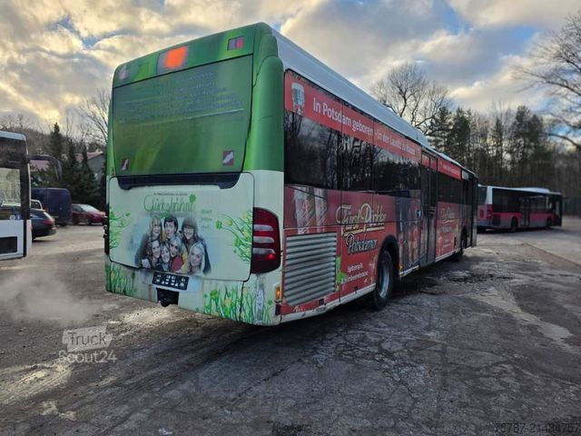 Autobus międzymiastowy MERCEDES-BENZ Citaro O530 LE, Gurten, Armlehnen, Gardinen