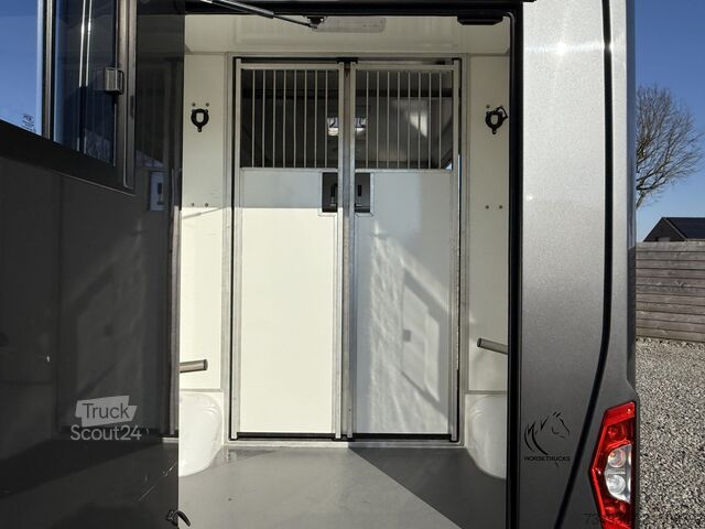 Transport de chevaux Renault Master PAARDENWAGEN | HORSETRUCK | STX | STALLI...