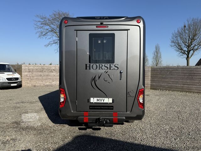 Transport de chevaux Renault Master PAARDENWAGEN | HORSETRUCK | STX | STALLI...