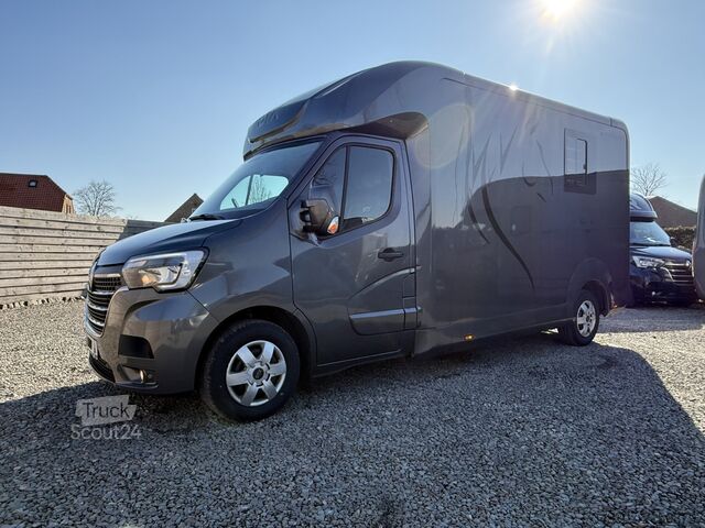 Transport de chevaux Renault Master PAARDENWAGEN | HORSETRUCK | STX | STALLI...