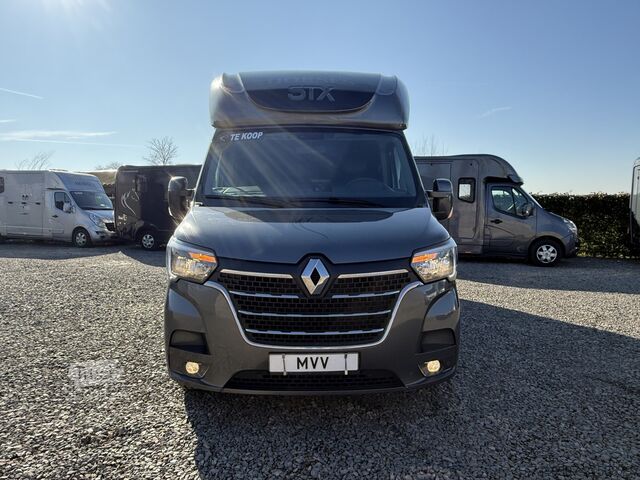Transport de chevaux Renault Master PAARDENWAGEN | HORSETRUCK | STX | STALLI...