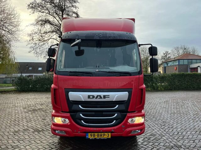 Koffer DAF LF 260 Fa