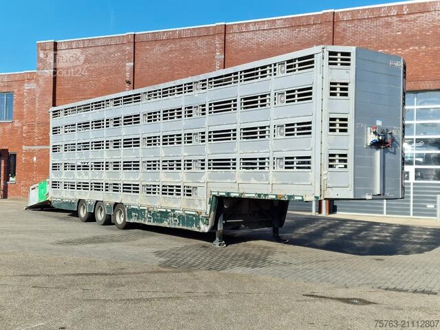 Cattle transport Pezzaioli 5 deck livestock trailer - Water & Ventilation ...