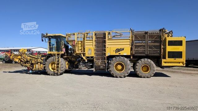 Rübenroder Ropa TIGER V8-3 beet harvester / 6000 MTH