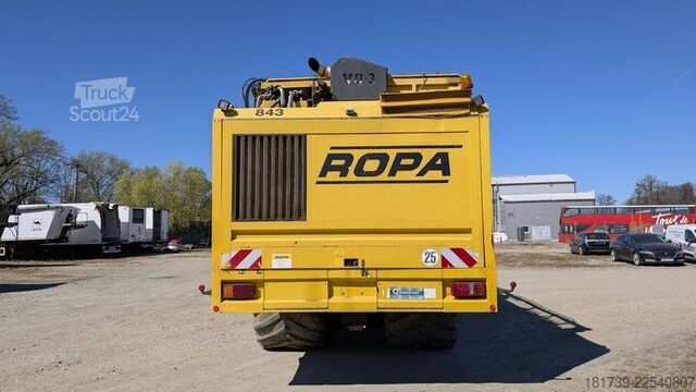 Rübenroder Ropa TIGER V8-3 beet harvester / 6000 MTH