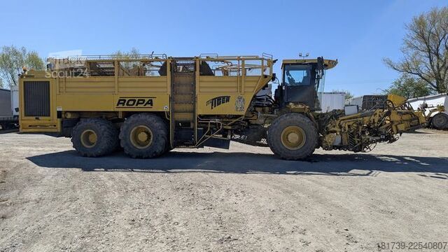 Rübenroder Ropa TIGER V8-3 beet harvester / 6000 MTH