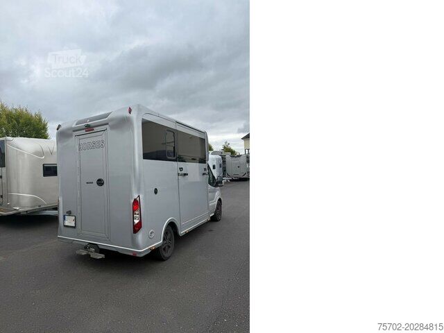 Μεταφορέας ζώων Ford Transit 1-2 Pferde Hengsttrennung