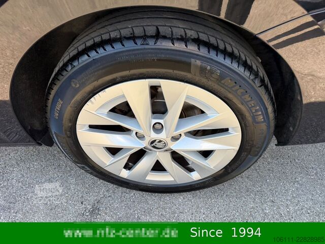 Kleinbus SKODA Octavia Combi Ambition