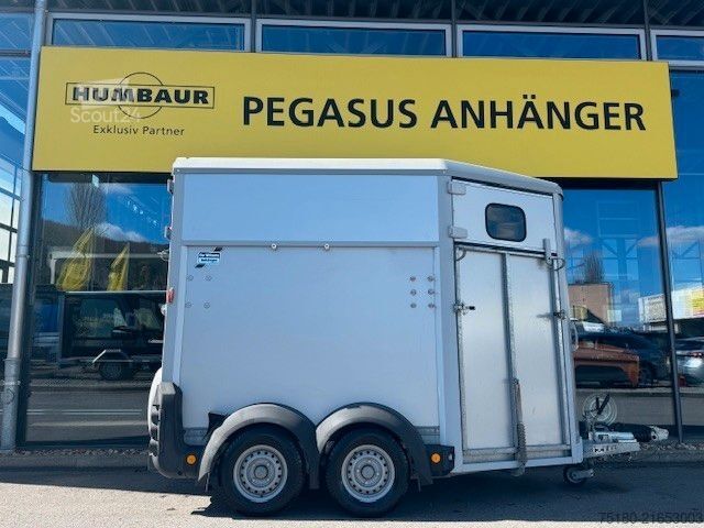 Horse transport trailer IFOR WILLIAMS HB 506 2 Pferdeanhänger Aluboden FRONTAUSSTIEG