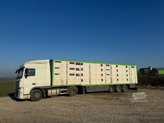 Camión de ganado Menke Janzen