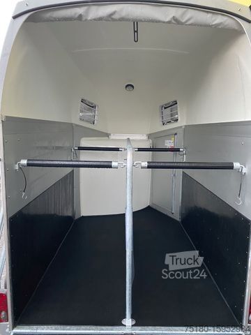 Remorque de transport de chevaux BÖCKMANN Champion Esprit 2-Pferdeanhänger 2,4t. Alu 100km