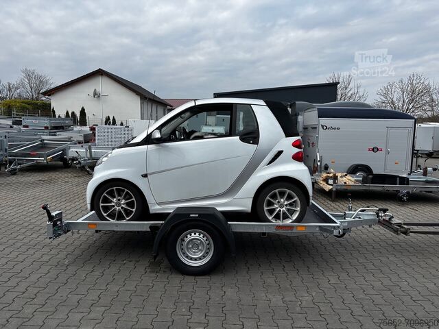 Car transport Neptun Multi kippbar 3,05x1,66m 1300kg GN155