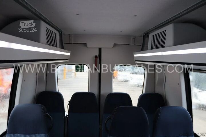 Minibus Iveco Daily / 7.6m / Automatic / A65C18