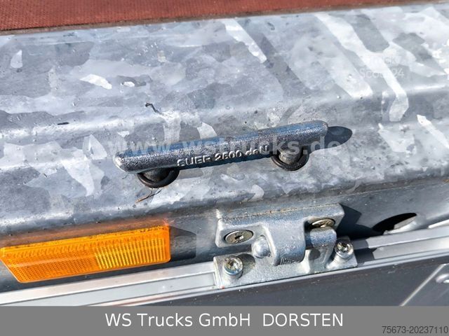 Rimorchio aperto WST Edition Pritschenhochlader Tandem NEU