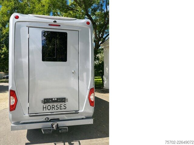 Van Mercedes-Benz Sprinter 319 STX 1-2 Pferde Hengsttrennung