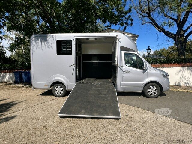 Van Mercedes-Benz Sprinter 319 STX 1-2 Pferde Hengsttrennung