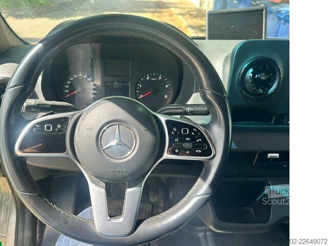 Van Mercedes-Benz Sprinter 319 STX 1-2 Pferde Hengsttrennung