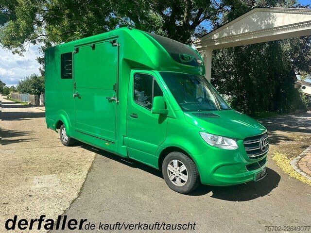 Furgon Mercedes-Benz Sprinter 319 STX 1-2 Pferde Hengsttrennung