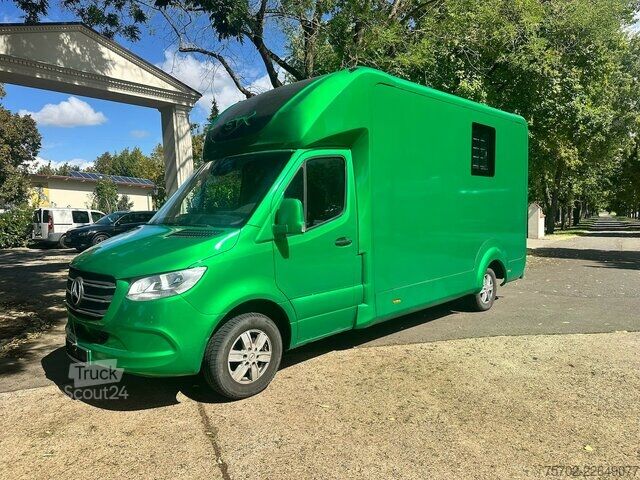 Furgon Mercedes-Benz Sprinter 319 STX 1-2 Pferde Hengsttrennung