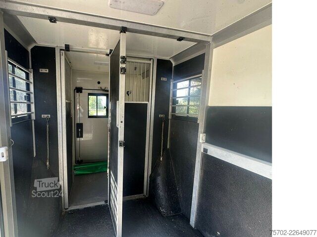 Furgon Mercedes-Benz Sprinter 319 STX 1-2 Pferde Hengsttrennung