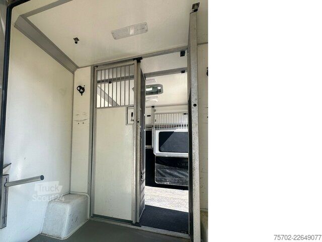Furgon Mercedes-Benz Sprinter 319 STX 1-2 Pferde Hengsttrennung