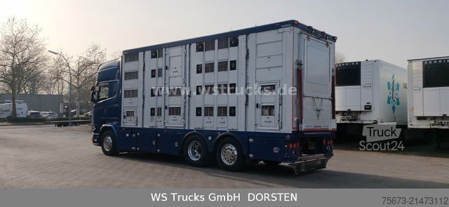 Φορτηγό μεταφοράς ζώων SCANIA R 580 V8 Menke-Janzen 3 Stock Hubdach Tränken