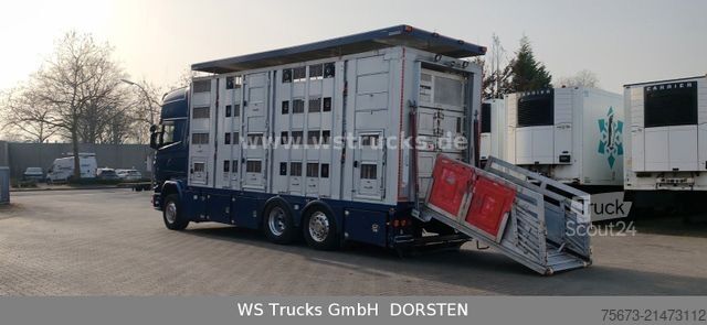 Φορτηγό μεταφοράς ζώων SCANIA R 580 V8 Menke-Janzen 3 Stock Hubdach Tränken