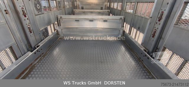 Φορτηγό μεταφοράς ζώων SCANIA R 580 V8 Menke-Janzen 3 Stock Hubdach Tränken