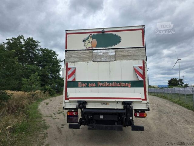 Kutu kamyonu DAF LF 260 Koffer 14 Tonner, LK,BW, Rückfahrkamera