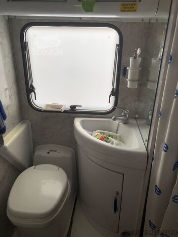 Road Birds Road Birds Road Birds