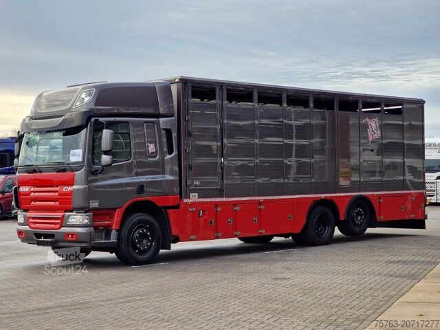 Veetransport DAF CF 360 SpaceCab 6x2*4 - Menke Janzen Livestock ...