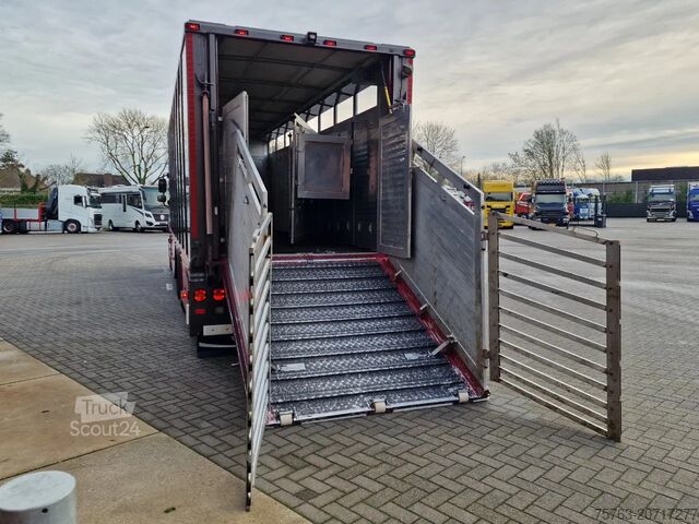 Veetransport DAF CF 360 SpaceCab 6x2*4 - Menke Janzen Livestock ...