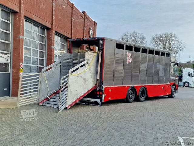 Veetransport DAF CF 360 SpaceCab 6x2*4 - Menke Janzen Livestock ...