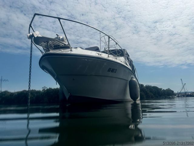 Rimorchio per barca SEA RAY 245DA HRIZON DREAM INKL. ANHÄNGER PILOB