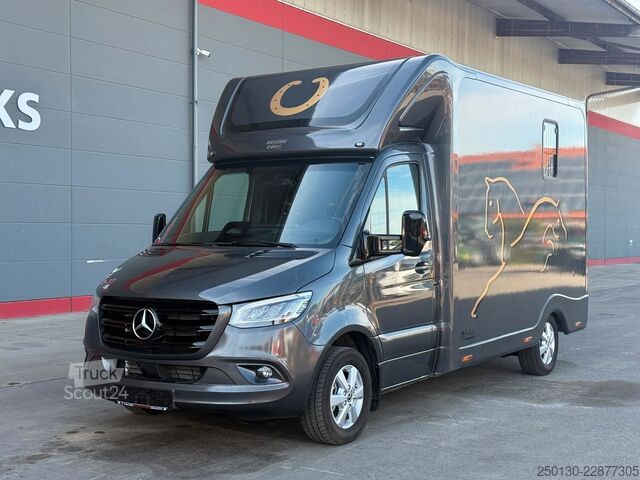 Превозвач на добитък MERCEDES-BENZ SODIAK HORSE 2 Pferde Luxus Sprinter