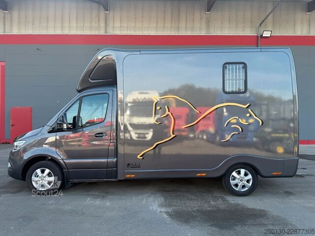 Превозвач на добитък MERCEDES-BENZ SODIAK HORSE 2 Pferde Luxus Sprinter