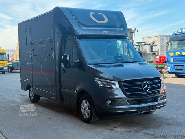 Превозвач на добитък MERCEDES-BENZ SODIAK HORSE 2 Pferde Luxus Sprinter