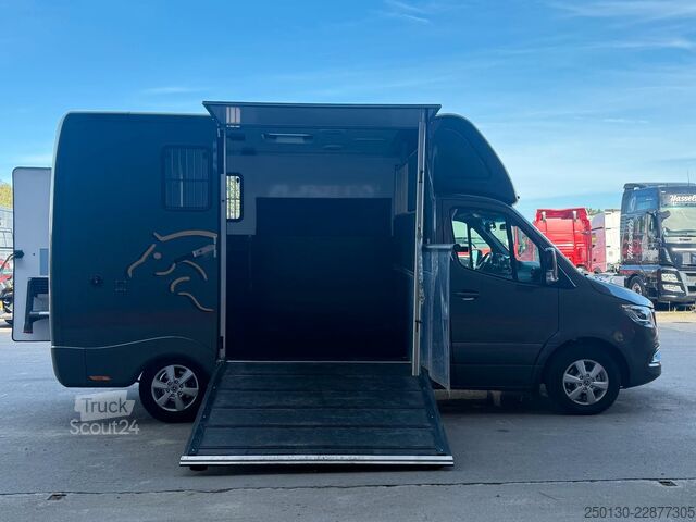 Превозвач на добитък MERCEDES-BENZ SODIAK HORSE 2 Pferde Luxus Sprinter