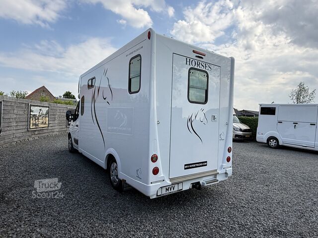 Transport av hästar Renault Master | HORSETRUCK | THEAULT | STALLION 5XL | ...