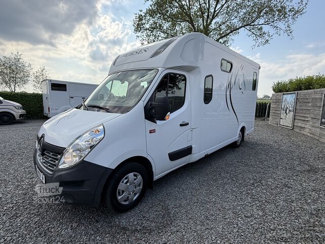 Paarden transport Renault Master | HORSETRUCK | THEAULT | STALLION 5XL | ...