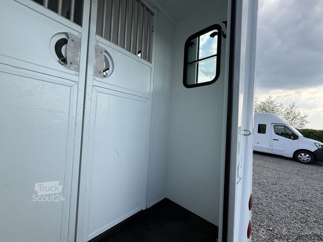 Перевозка лошадей Renault Master | HORSETRUCK | THEAULT | STALLION 5XL | ...