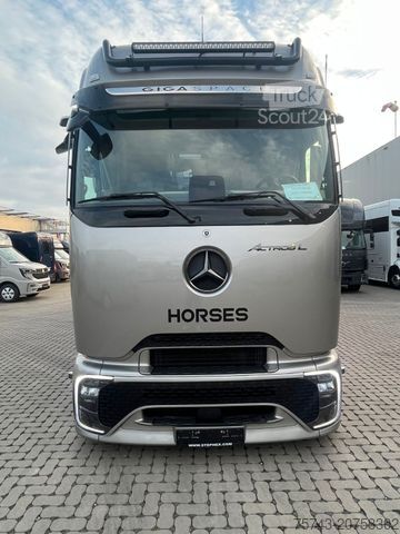 Veewagen MERCEDES-BENZ 2653 STX 5 Pferde DOP. POP-OUT+POP-UP EXKLUSIVE