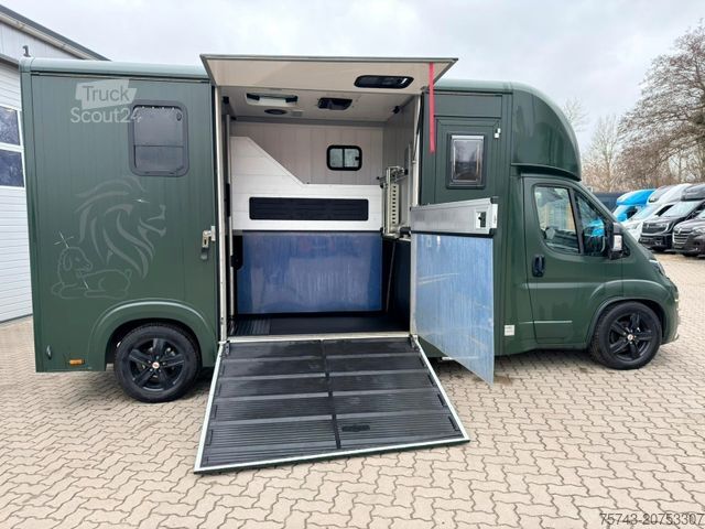 Veetransporter FIAT Ducato EXKLUSIVE Hengstmodel