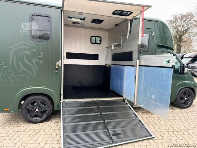 Livestock transporter FIAT Ducato  EXKLUSIVE Hengstmodel