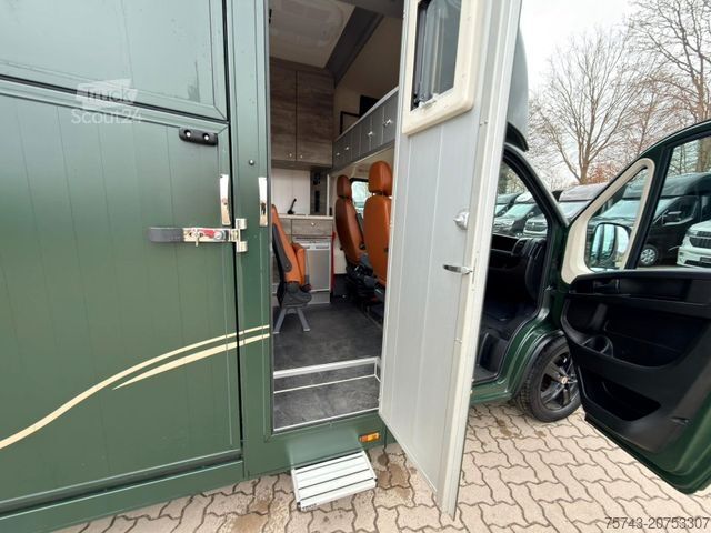 Livestock transporter FIAT Ducato  EXKLUSIVE Hengstmodel
