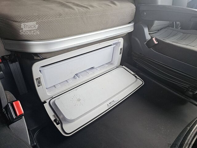 Rimorchio della piattaforma SCANIA R490